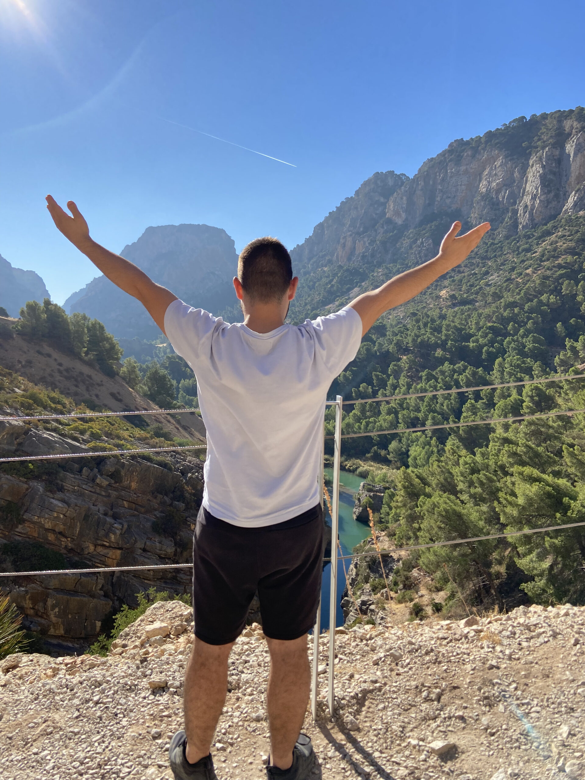 praticien Energéticien